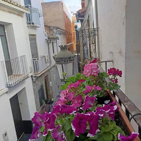 Garden Salvaje *