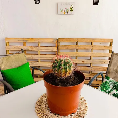 Apartment Garden Salvaje