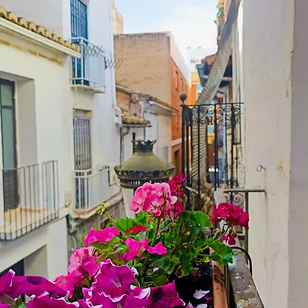 Garden Salvaje Sagunto