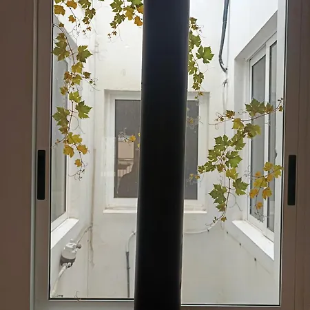 Apartment Garden Salvaje